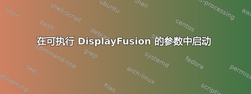 在可执行 DisplayFusion 的参数中启动