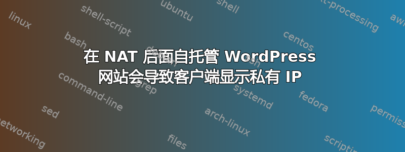 在 NAT 后面自托管 WordPress 网站会导致客户端显示私有 IP