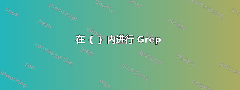 在 { } 内进行 Grep