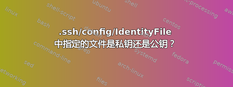 .ssh/config/IdentityFile 中指定的文件是私钥还是公钥？