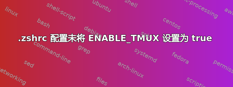 .zshrc 配置未将 ENABLE_TMUX 设置为 true