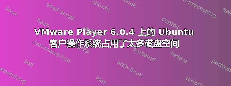 VMware Player 6.0.4 上的 Ubuntu 客户操作系统占用了太多磁盘空间