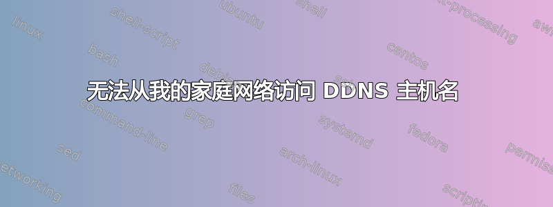 无法从我的家庭网络访问 DDNS 主机名