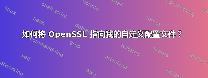 如何将 OpenSSL 指向我的自定义配置文件？