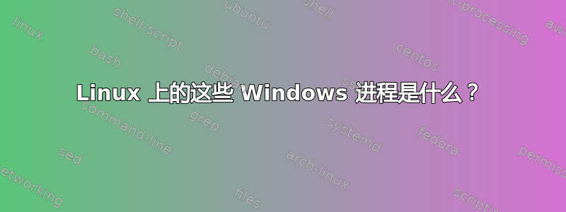 Linux 上的这些 Windows 进程是什么？