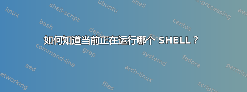 如何知道当前正在运行哪个 SHELL？