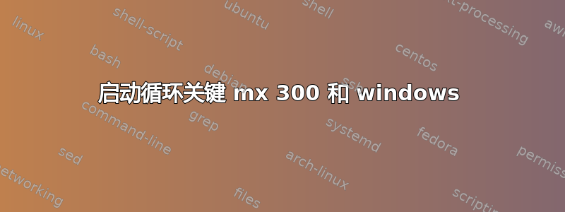 启动循环关键 mx 300 和 windows