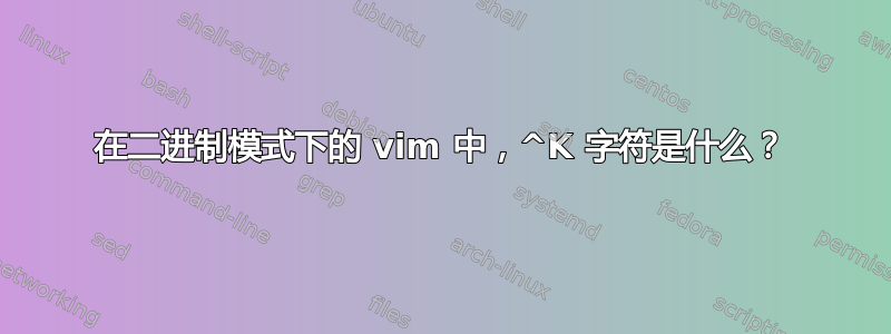 在二进制模式下的 vim 中，^K 字符是什么？