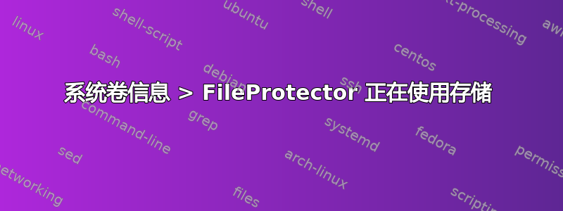 系统卷信息 > FileProtector 正在使用存储