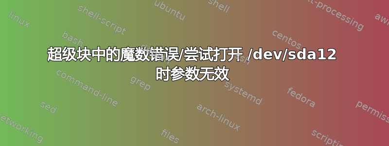 超级块中的魔数错误/尝试打开 /dev/sda12 时参数无效