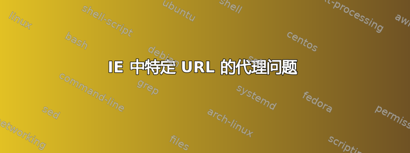 IE 中特定 URL 的代理问题