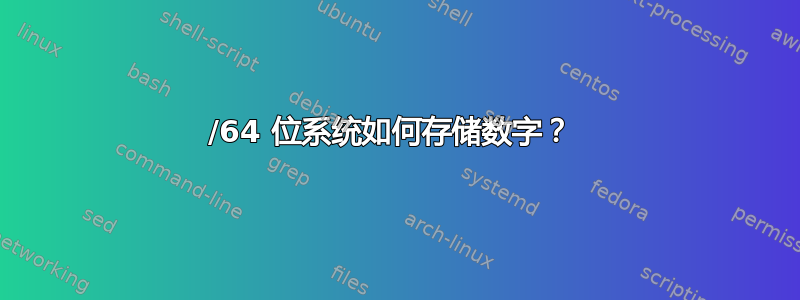 32/64 位系统如何存储数字？ 