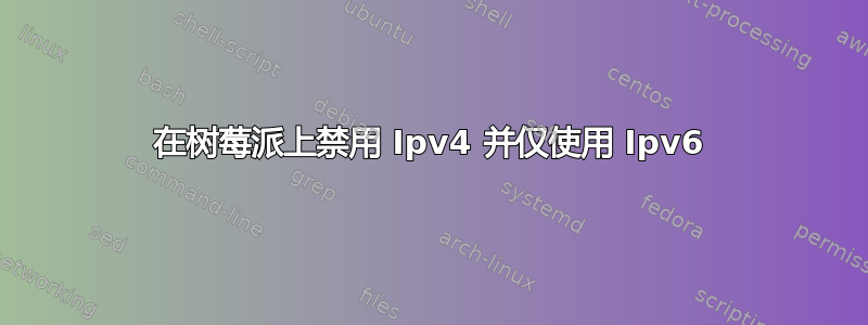 在树莓派上禁用 Ipv4 并仅使用 Ipv6