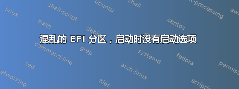 混乱的 EFI 分区，启动时没有启动选项