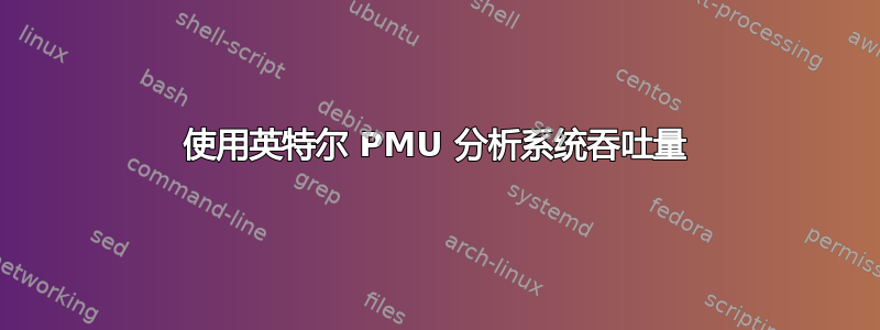 使用英特尔 PMU 分析系统吞吐量