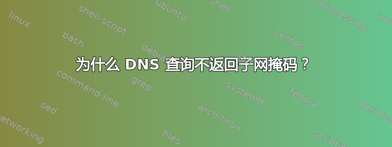 为什么 DNS 查询不返回子网掩码？