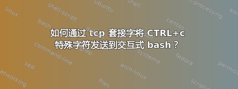 如何通过 tcp 套接字将 CTRL+c 特殊字符发送到交互式 bash？