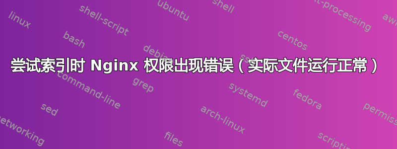 尝试索引时 Nginx 权限出现错误（实际文件运行正常）