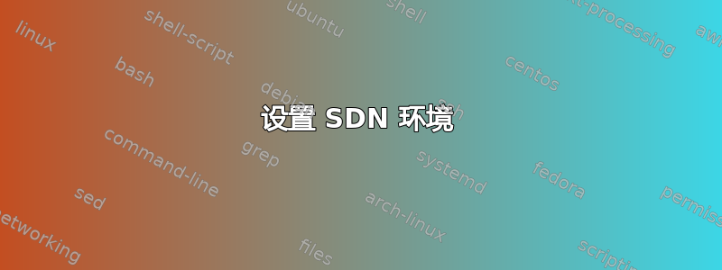 设置 SDN 环境