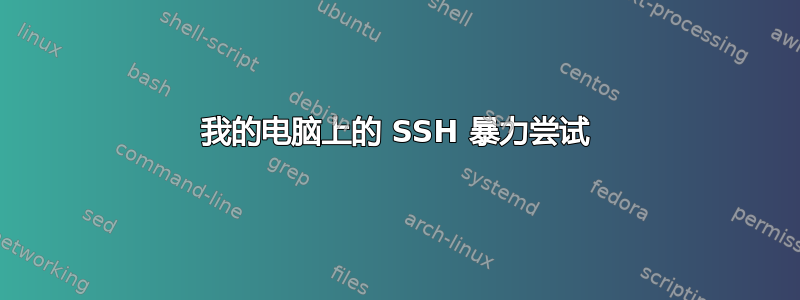 我的电脑上的 SSH 暴力尝试