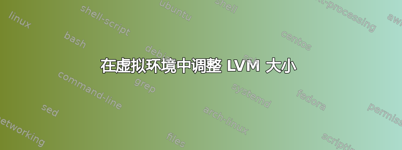 在虚拟环境中调整 LVM 大小