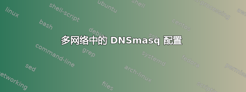 多网络中的 DNSmasq 配置