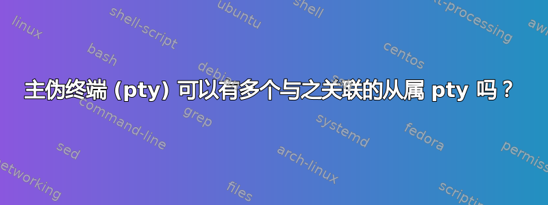 主伪终端 (pty) 可以有多个与之关联的从属 pty 吗？