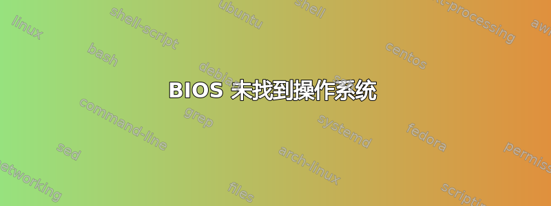 BIOS 未找到操作系统