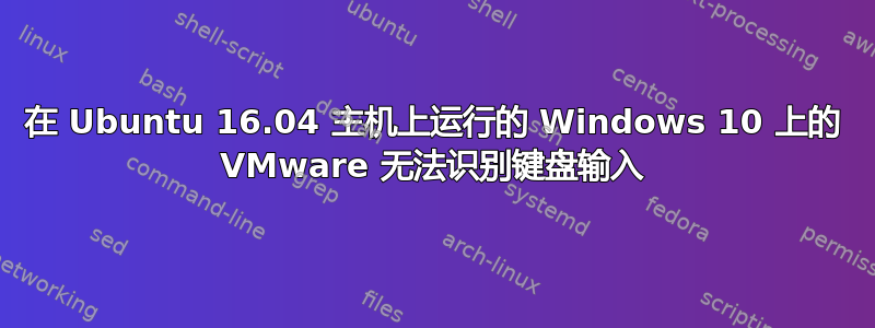 在 Ubuntu 16.04 主机上运行的 Windows 10 上的 VMware 无法识别键盘输入