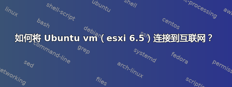 如何将 Ubuntu vm（esxi 6.5）连接到互联网？