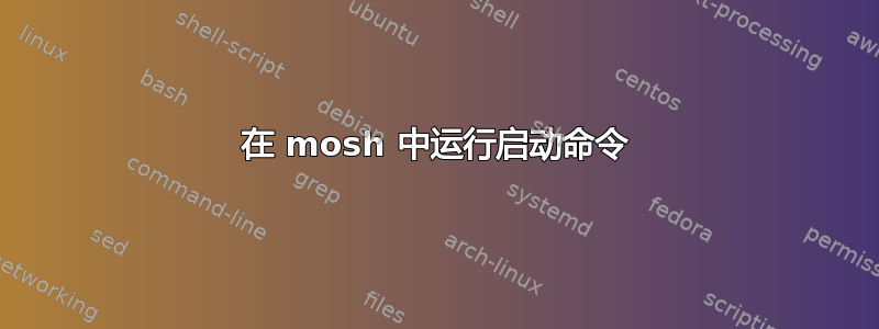 在 mosh 中运行启动命令