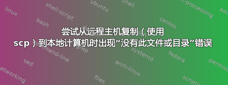 尝试从远程主机复制（使用 scp）到本地计算机时出现“没有此文件或目录”错误