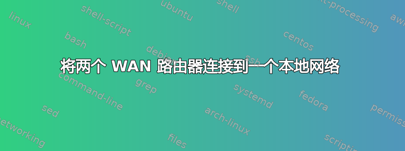 将两个 WAN 路由器连接到一个本地网络