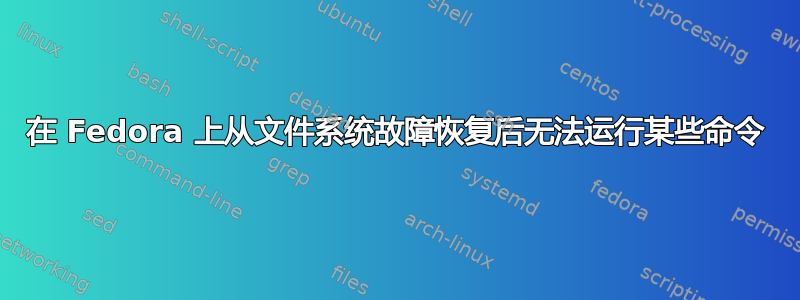 在 Fedora 上从文件系统故障恢复后无法运行某些命令