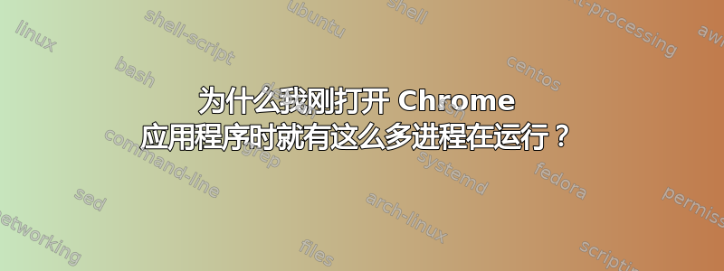 为什么我刚打开 Chrome 应用程序时就有这么多进程在运行？