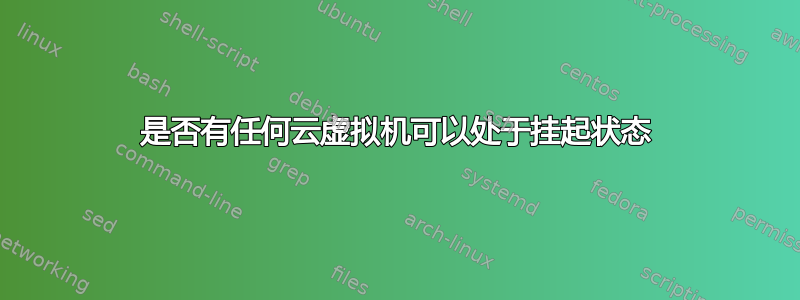 是否有任何云虚拟机可以处于挂起状态