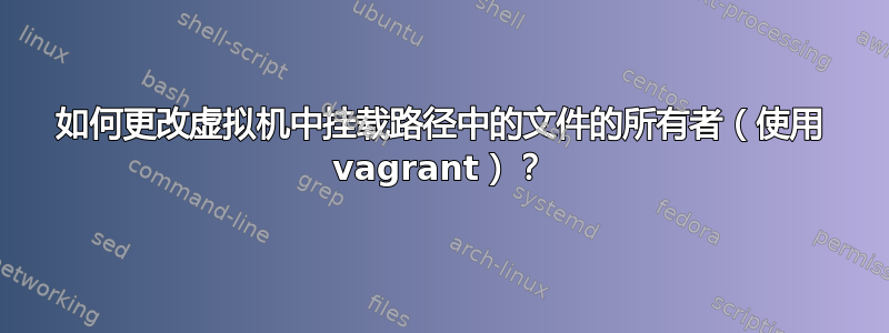 如何更改虚拟机中挂载路径中的文件的所有者（使用 vagrant）？