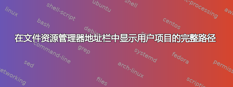 在文件资源管理器地址栏中显示用户项目的完整路径