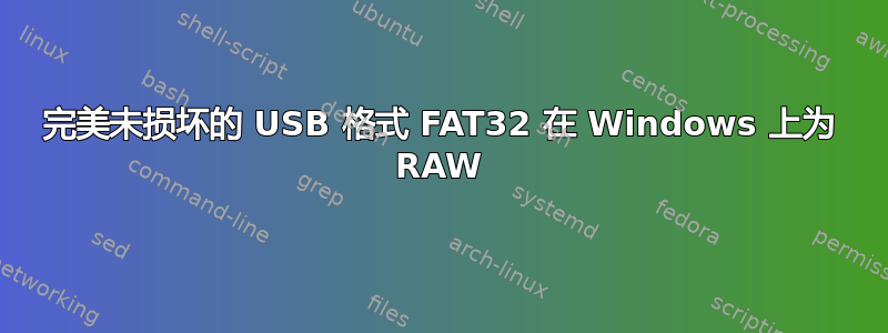 完美未损坏的 USB 格式 FAT32 在 Windows 上为 RAW