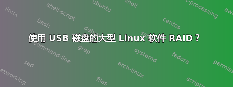 使用 USB 磁盘的大型 Linux 软件 RAID？