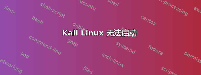 Kali Linux 无法启动