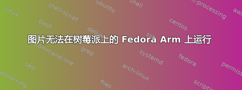 图片无法在树莓派上的 Fedora Arm 上运行