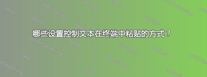 哪些设置控制文本在终端中粘贴的方式？