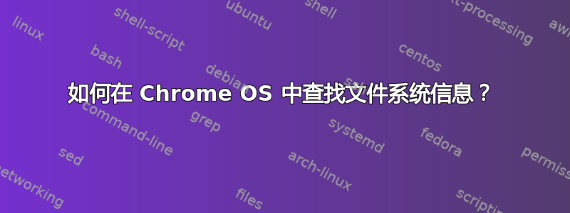 如何在 Chrome OS 中查找文件系统信息？