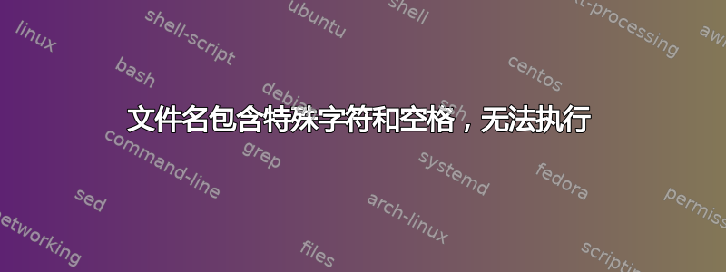 文件名包含特殊字符和空格，无法执行