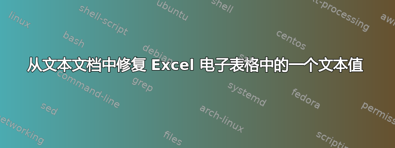 从文本文档中修复 Excel 电子表格中的一个文本值