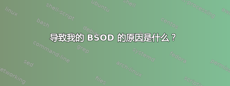 导致我的 BSOD 的原因是什么？