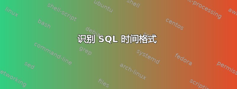 识别 SQL 时间格式