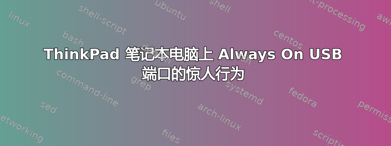 ThinkPad 笔记本电脑上 Always On USB 端口的惊人行为