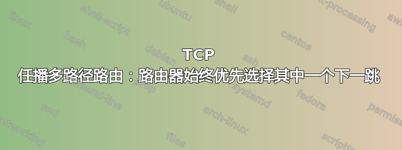 TCP 任播多路径路由：路由器始终优先选择其中一个下一跳